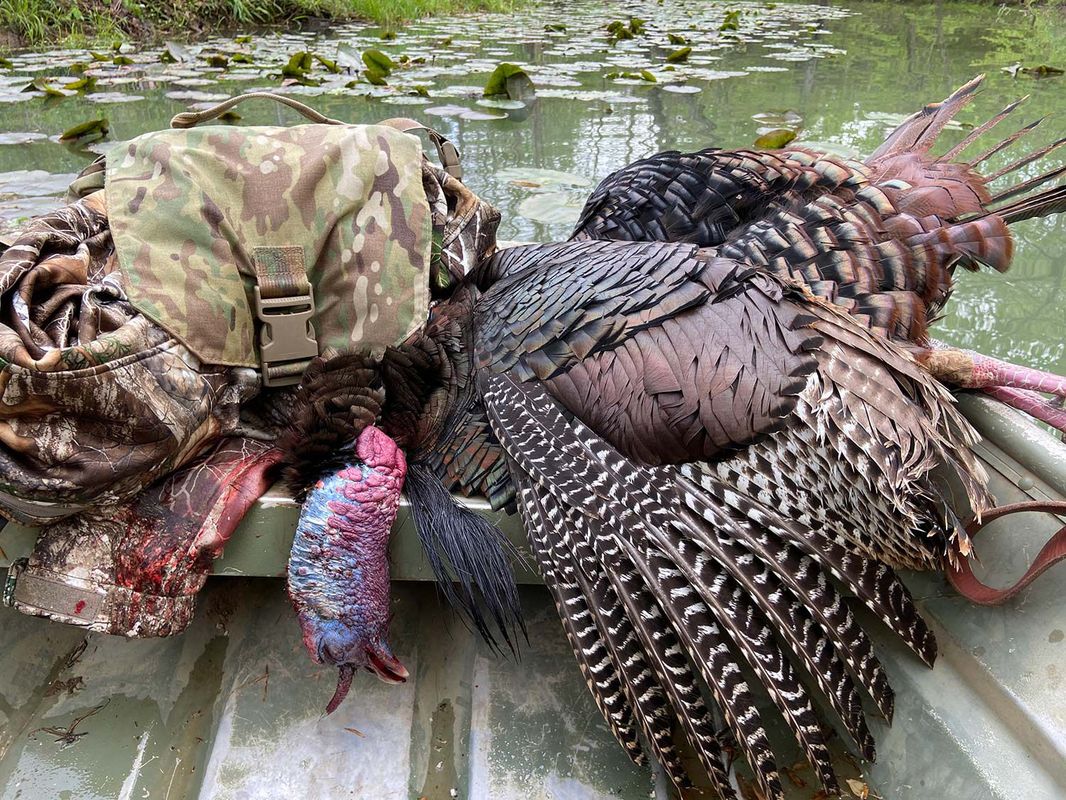 Turkeys might not gobble like they used to—but smart, persistent hunting can still pay off.