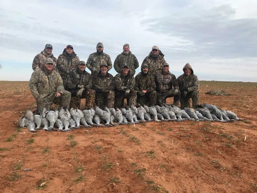 Texas is home to some of the best sandhill crane hunting in the country.